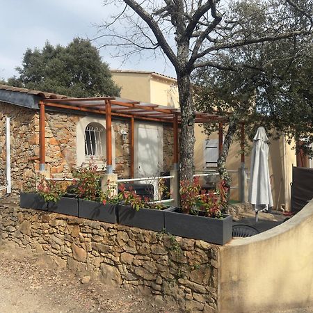 Votre Cocon En Pierre Et Son Spa En Option Gite Le Repos Des Chenes Régusse Kültér fotó